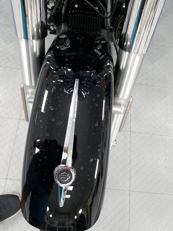 Harley Davidson Clear Bra Clearshield Protection Palm City